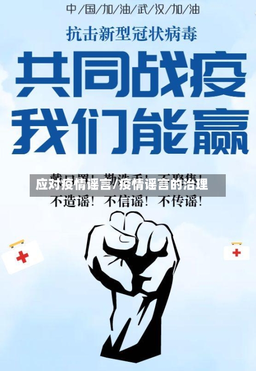 应对疫情谣言/疫情谣言的治理