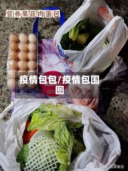 疫情包包/疫情包围图-第2张图片
