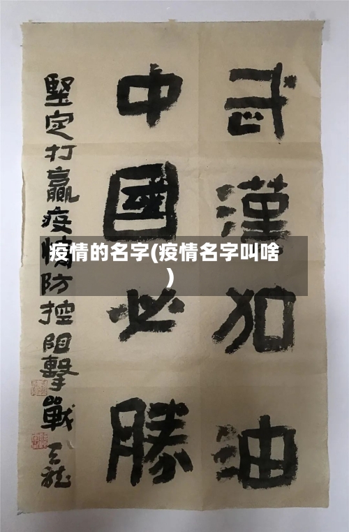 疫情的名字(疫情名字叫啥)-第2张图片