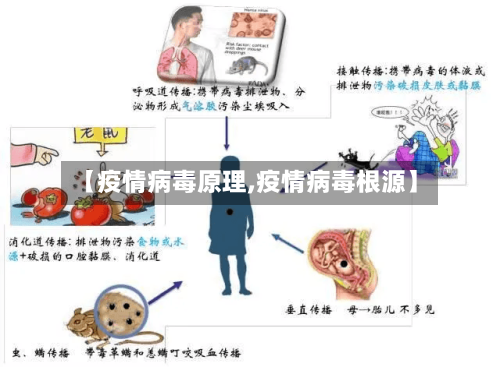 【疫情病毒原理,疫情病毒根源】