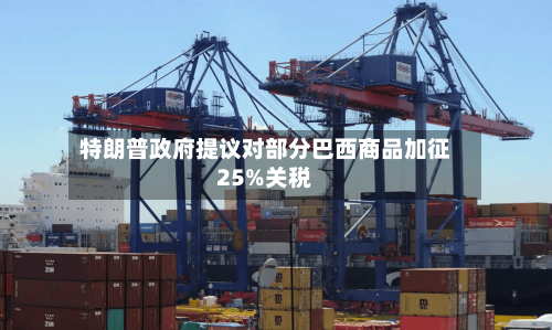 特朗普政府提议对部分巴西商品加征25%关税-第2张图片