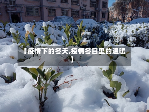 【疫情下的冬天,疫情冬日里的温暖】