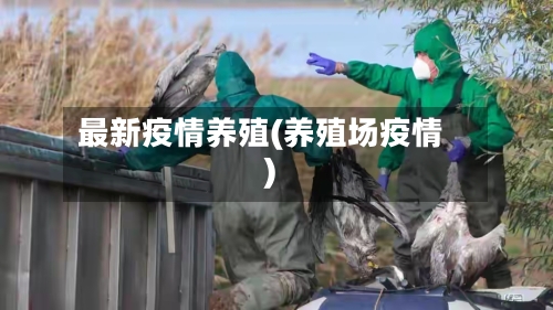 最新疫情养殖(养殖场疫情)-第2张图片