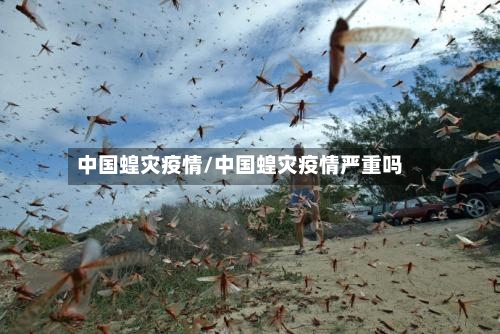 中国蝗灾疫情/中国蝗灾疫情严重吗-第2张图片