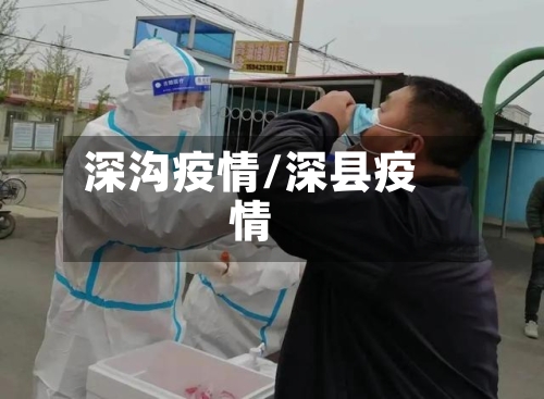 深沟疫情/深县疫情
