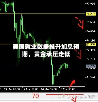 美国就业数据推升加息预期	，黄金承压走低-第2张图片