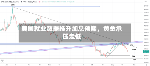 美国就业数据推升加息预期，黄金承压走低-第3张图片