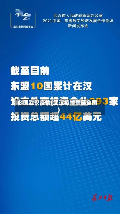 多国武汉疫情(武汉疫情蔓延全国)-第3张图片