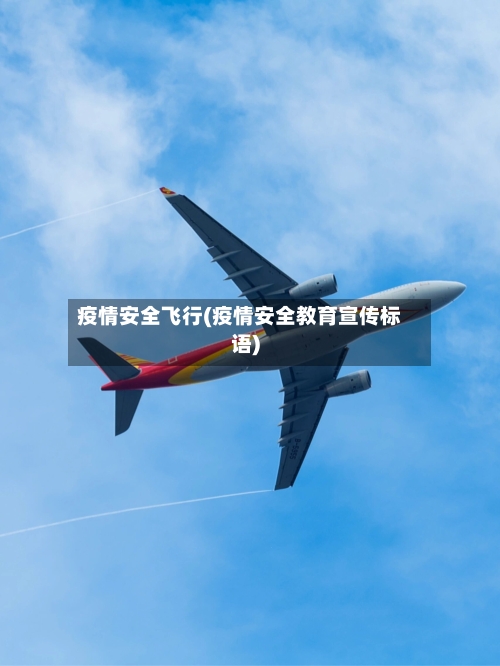 疫情安全飞行(疫情安全教育宣传标语)-第2张图片