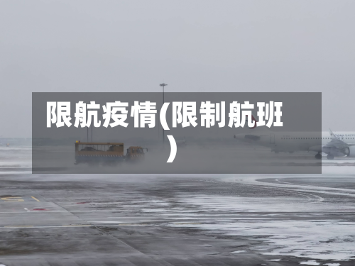 限航疫情(限制航班)