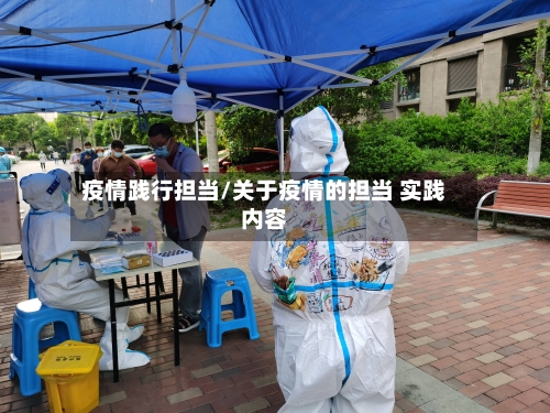 疫情践行担当/关于疫情的担当 实践内容