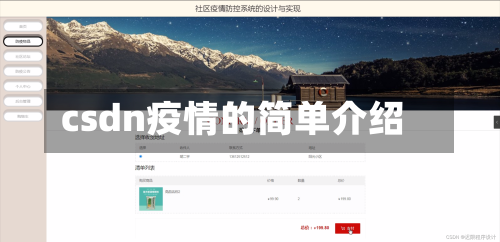 csdn疫情的简单介绍-第2张图片
