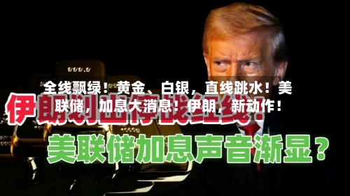 全线飘绿！黄金、白银，直线跳水！美联储	，加息大消息！伊朗，新动作！-第2张图片