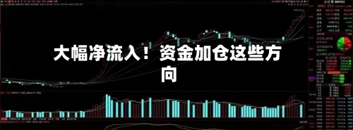 大幅净流入！资金加仓这些方向