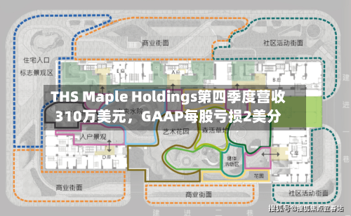 THS Maple Holdings第四季度营收310万美元	，GAAP每股亏损2美分-第2张图片