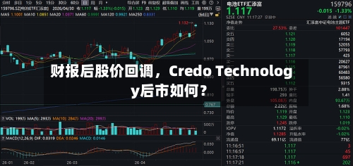 财报后股价回调，Credo Technology后市如何？-第2张图片