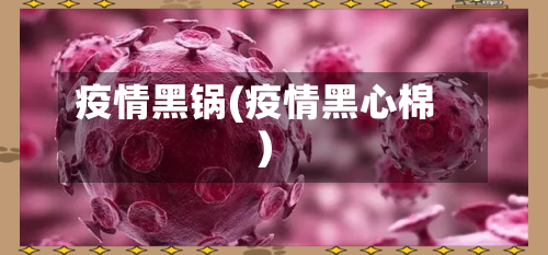 疫情黑锅(疫情黑心棉)-第3张图片