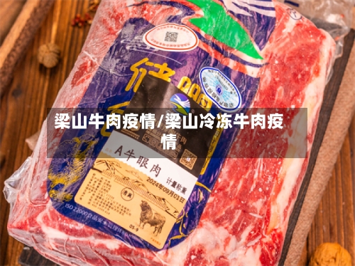 梁山牛肉疫情/梁山冷冻牛肉疫情