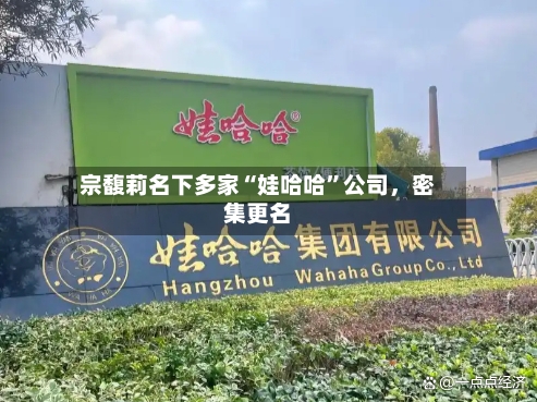 宗馥莉名下多家“娃哈哈”公司	，密集更名-第2张图片