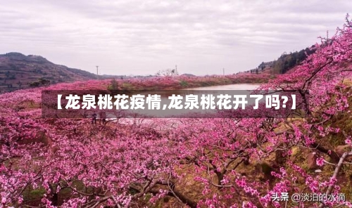 【龙泉桃花疫情,龙泉桃花开了吗?】