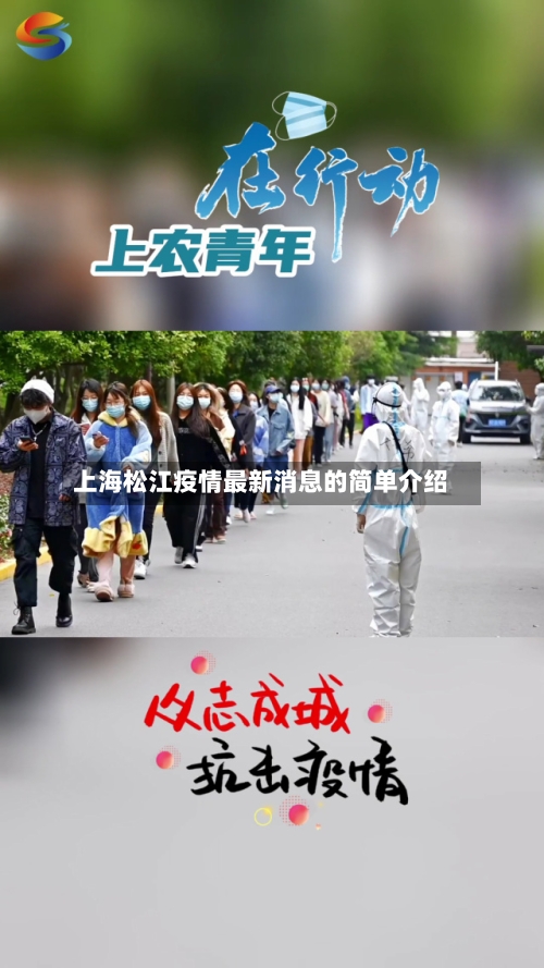上海松江疫情最新消息的简单介绍-第3张图片