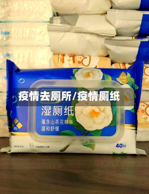 疫情去厕所/疫情厕纸-第2张图片