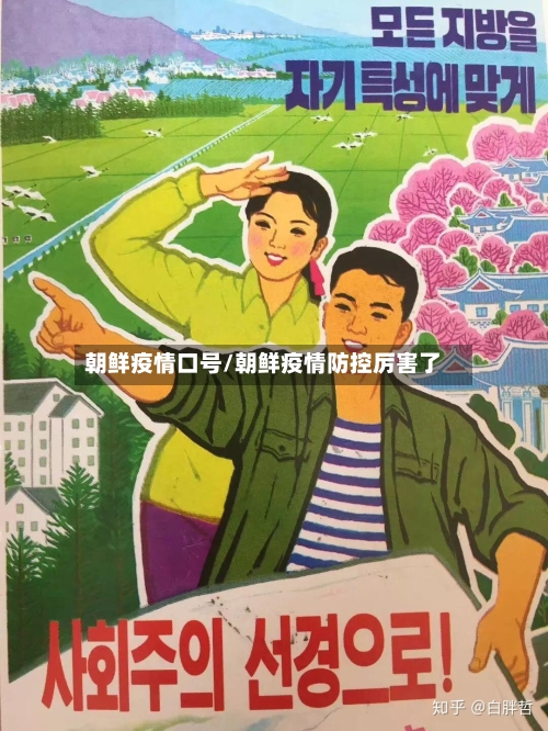 朝鲜疫情口号/朝鲜疫情防控厉害了