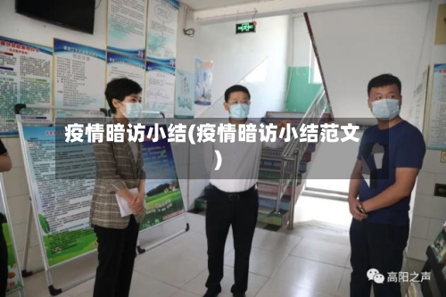 疫情暗访小结(疫情暗访小结范文)