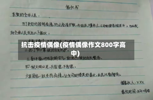 抗击疫情偶像(疫情偶像作文800字高中)