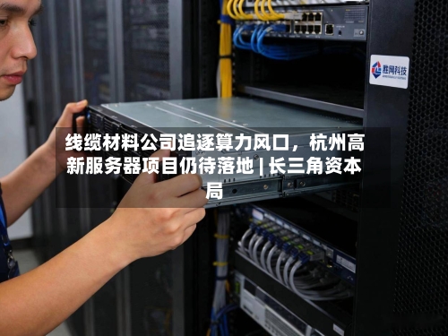线缆材料公司追逐算力风口，杭州高新服务器项目仍待落地 | 长三角资本局-第3张图片