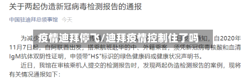 疫情迪拜停飞/迪拜疫情控制住了吗-第3张图片