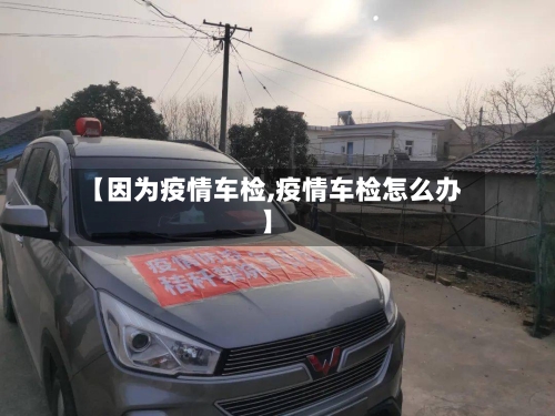 【因为疫情车检,疫情车检怎么办】-第2张图片