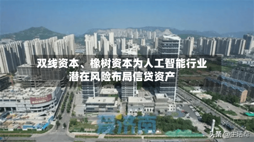 双线资本、橡树资本为人工智能行业潜在风险布局信贷资产-第2张图片