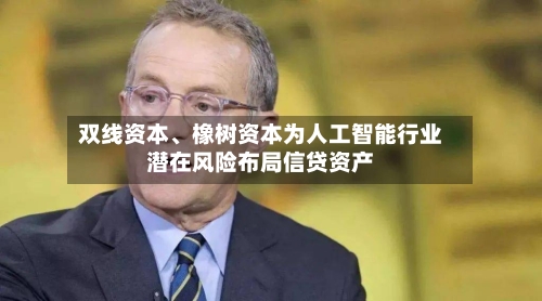 双线资本、橡树资本为人工智能行业潜在风险布局信贷资产