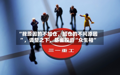 “找原因的不加仓，加仓的不问原因”，调整之下	，基金投资“众生相	”-第3张图片