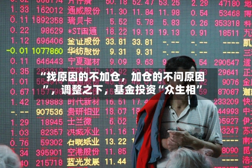 “找原因的不加仓，加仓的不问原因	”	，调整之下，基金投资“众生相”-第2张图片