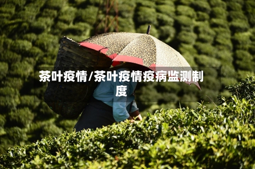 茶叶疫情/茶叶疫情疫病监测制度-第2张图片