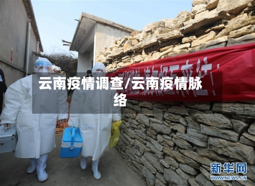 云南疫情调查/云南疫情脉络
