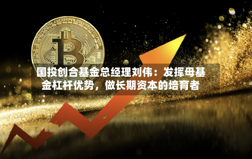 国投创合基金总经理刘伟：发挥母基金杠杆优势	，做长期资本的培育者-第3张图片
