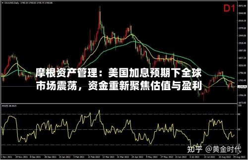 摩根资产管理：美国加息预期下全球市场震荡，资金重新聚焦估值与盈利-第2张图片