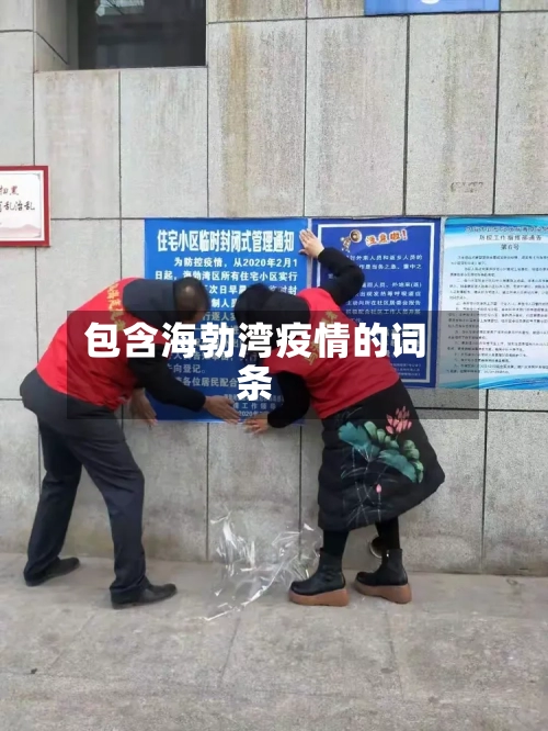 包含海勃湾疫情的词条