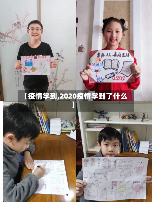 【疫情学到,2020疫情学到了什么】-第3张图片