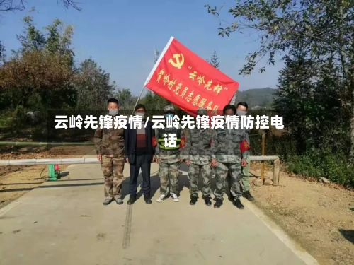 云岭先锋疫情/云岭先锋疫情防控电话