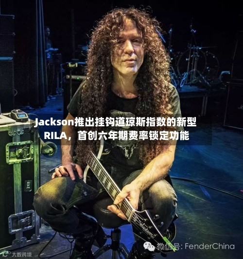 Jackson推出挂钩道琼斯指数的新型RILA，首创六年期费率锁定功能-第2张图片